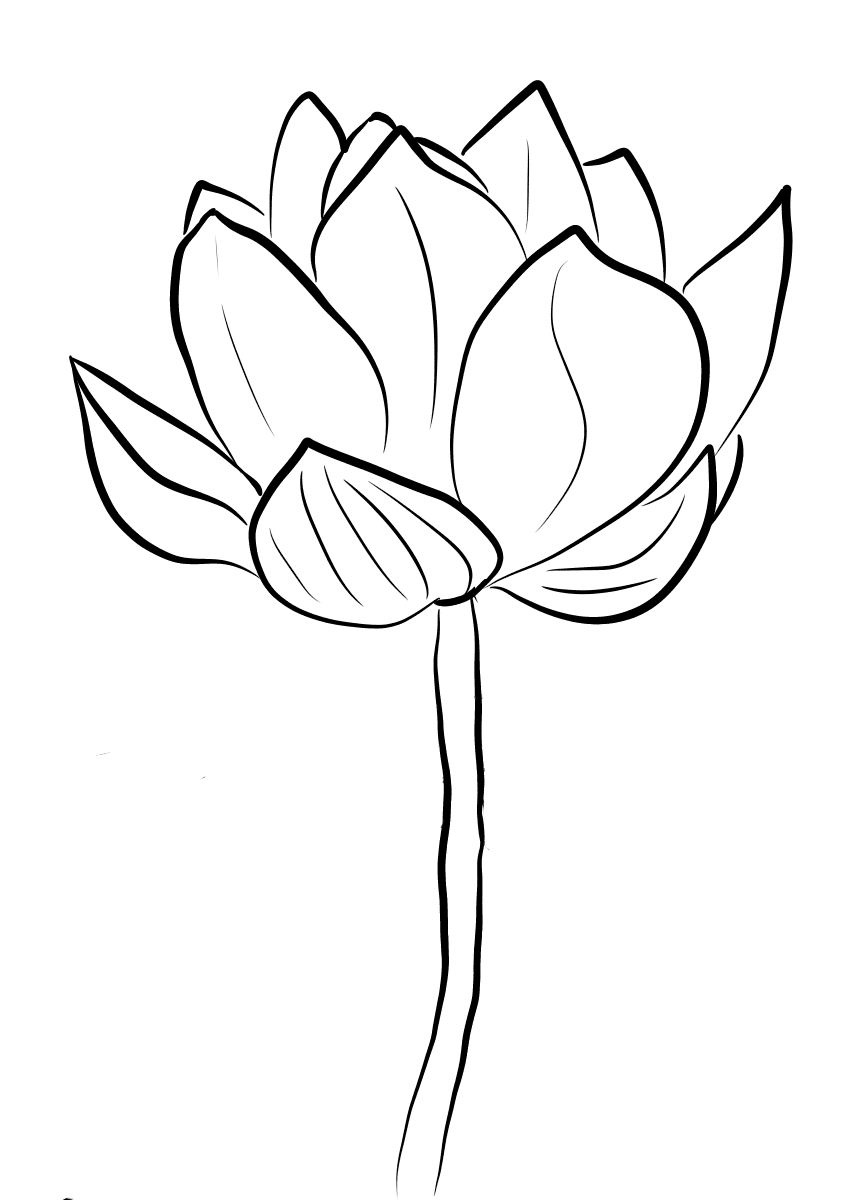Lotus Çiçeği Boyama Sayfası