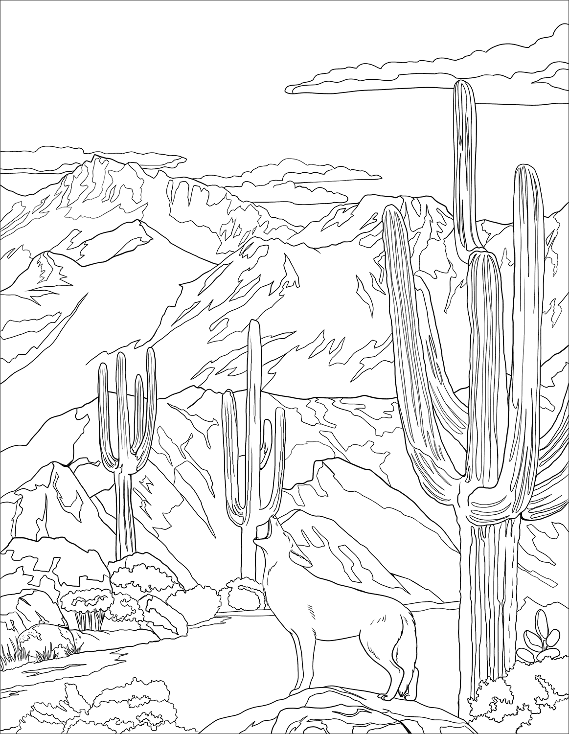Saguaro Kaktüsü Boyama Sayfası
