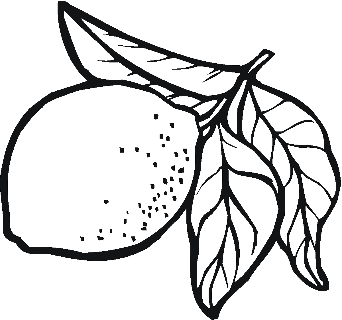 Limon Boyama Sayfası