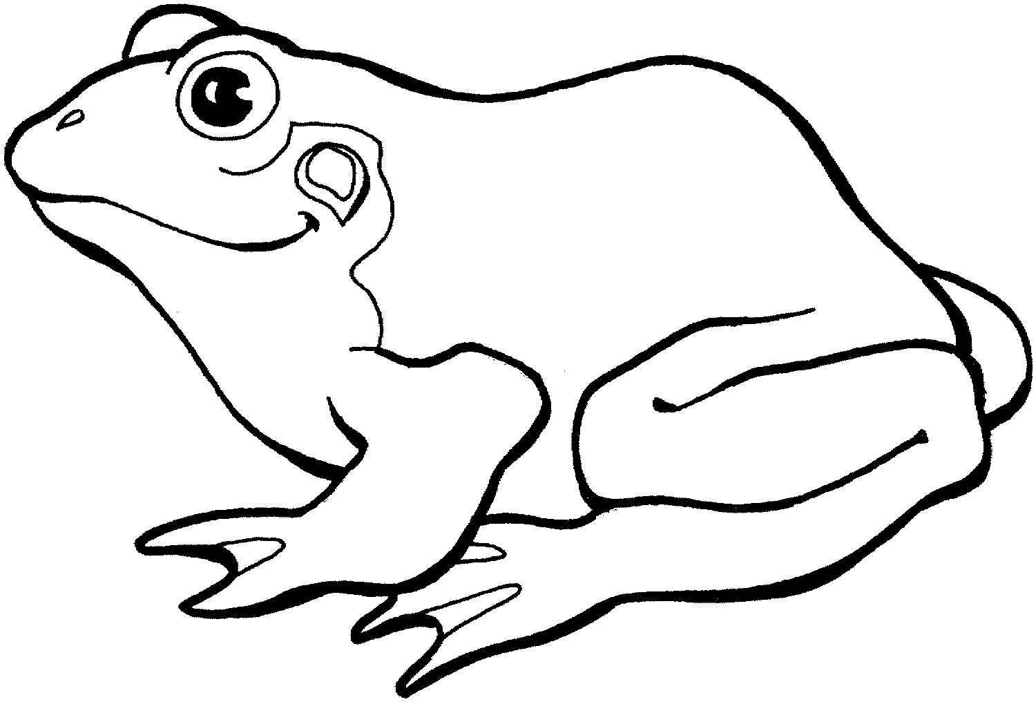 Diğer Hayvanlar