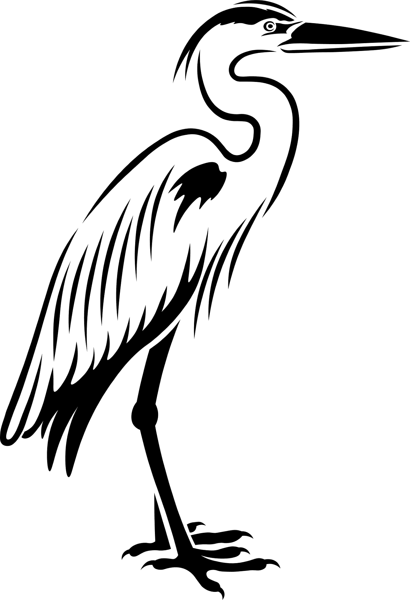 Balıkçıl Kuşu