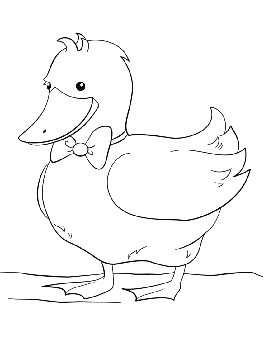 Ördek