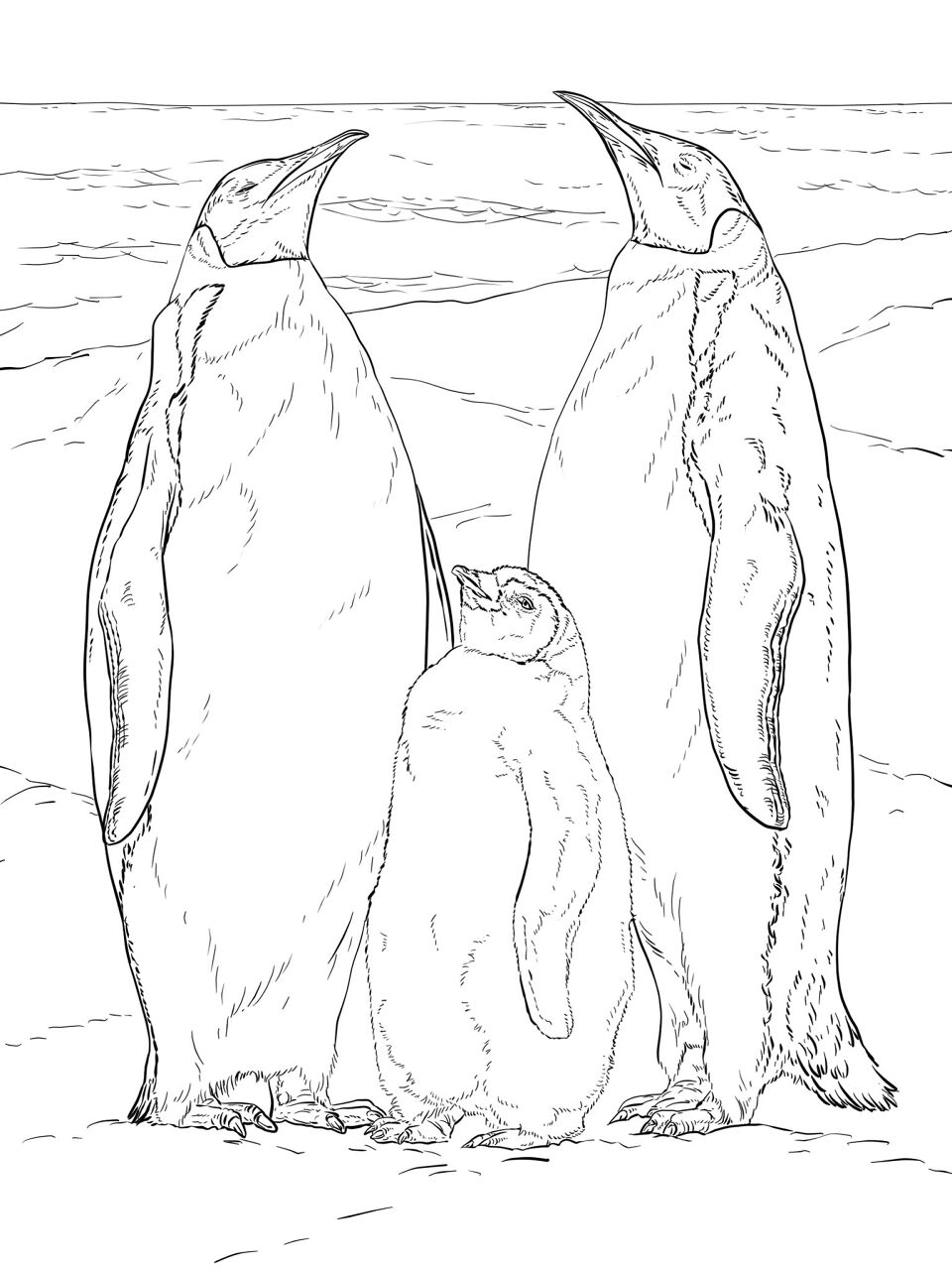 Penguen Boyama Sayfası