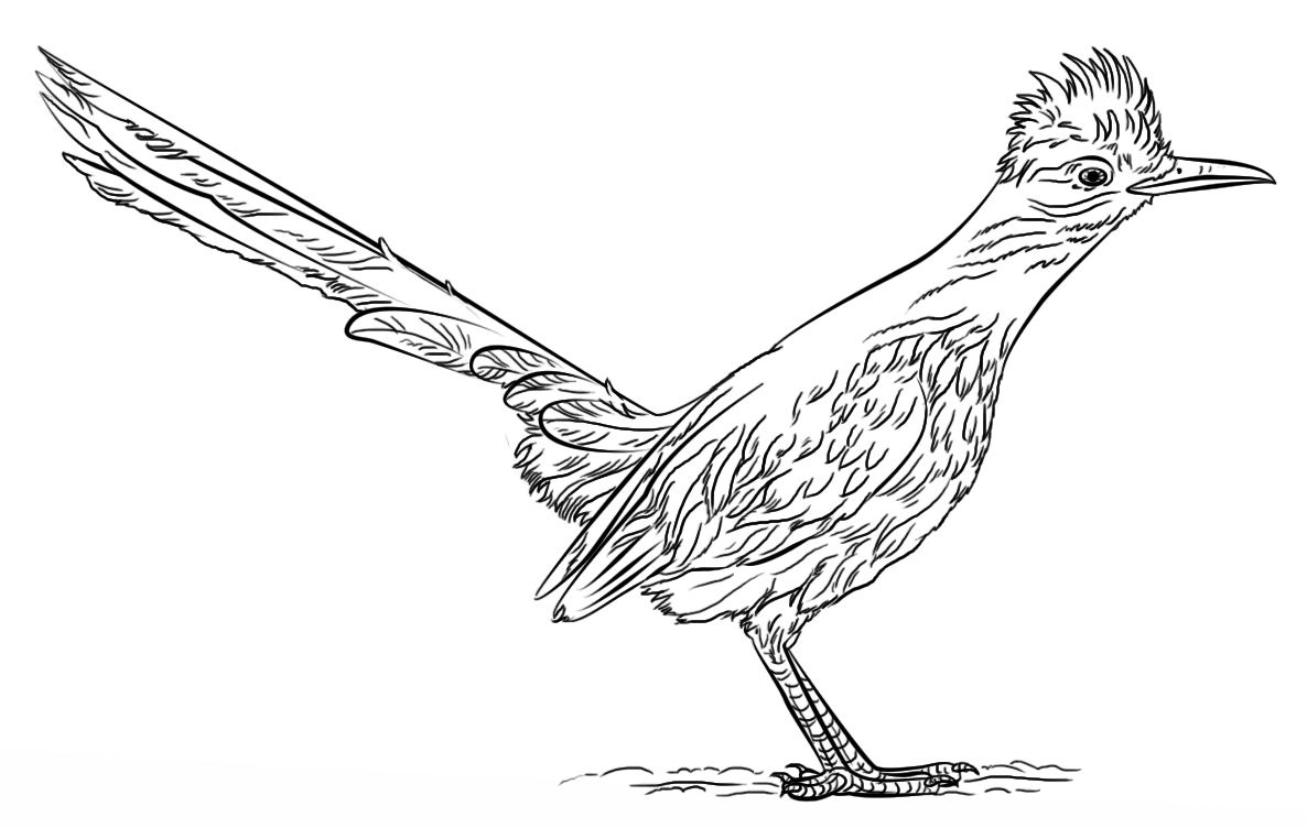 Roadrunner Boyama Sayfası