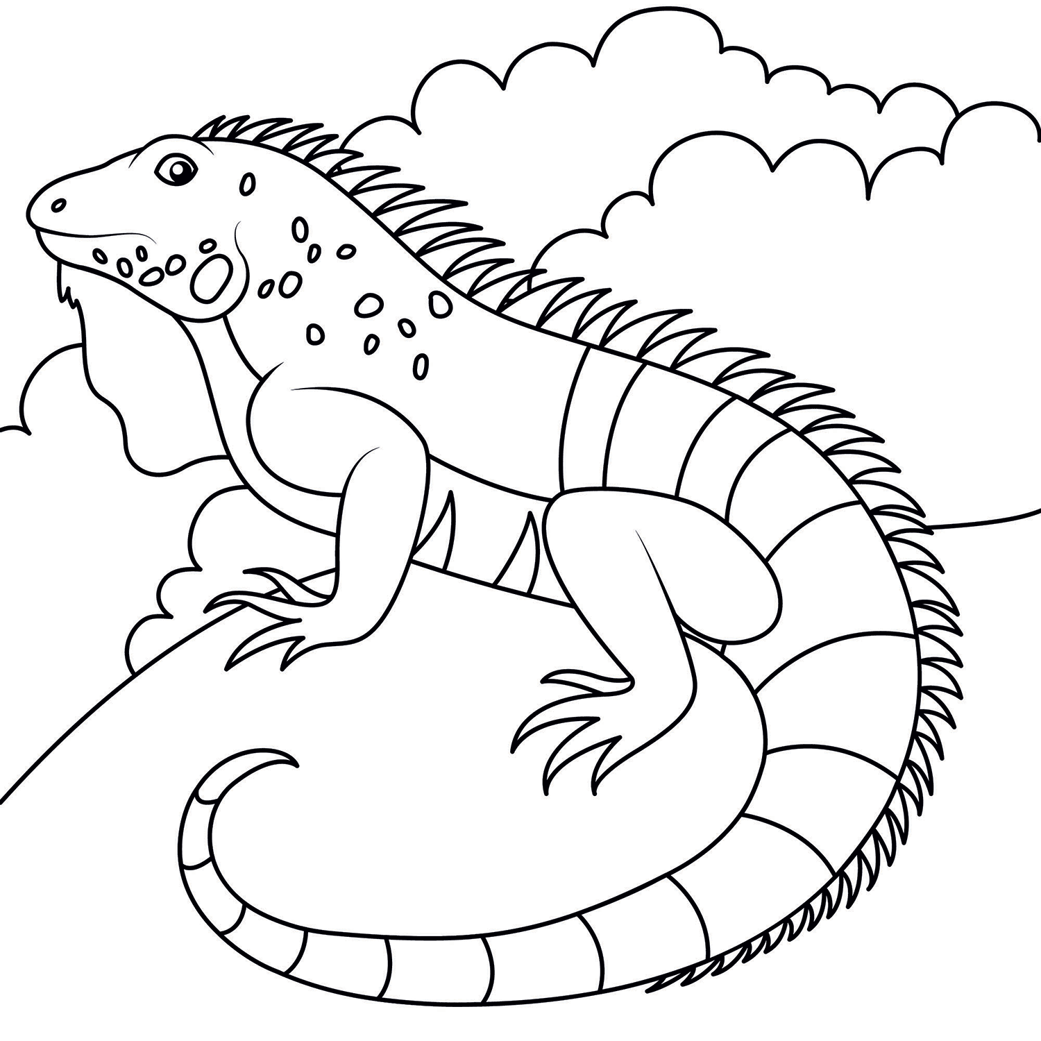 İguana Boyama Sayfası