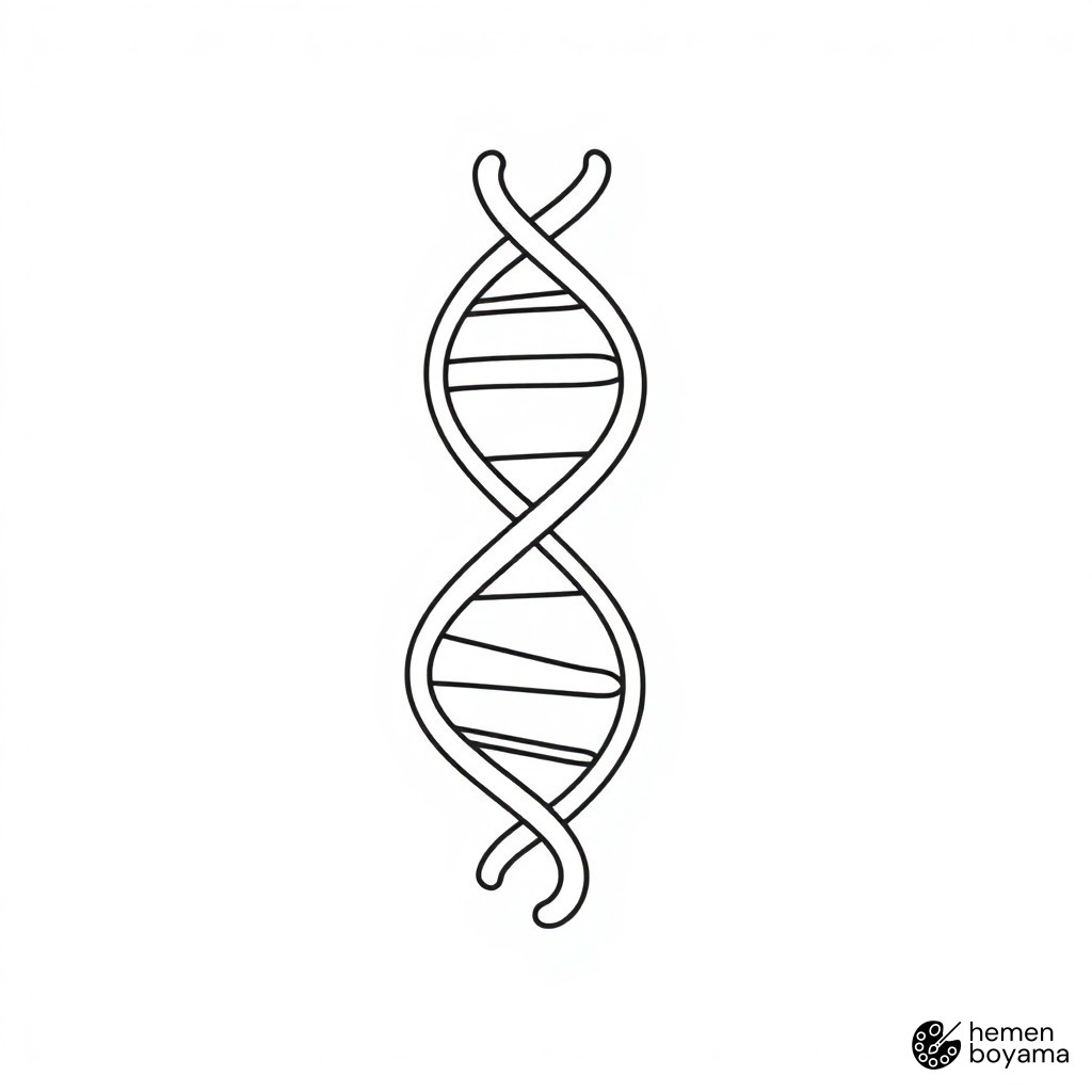 DNA Sarmalı Sembolü Boyama Sayfası